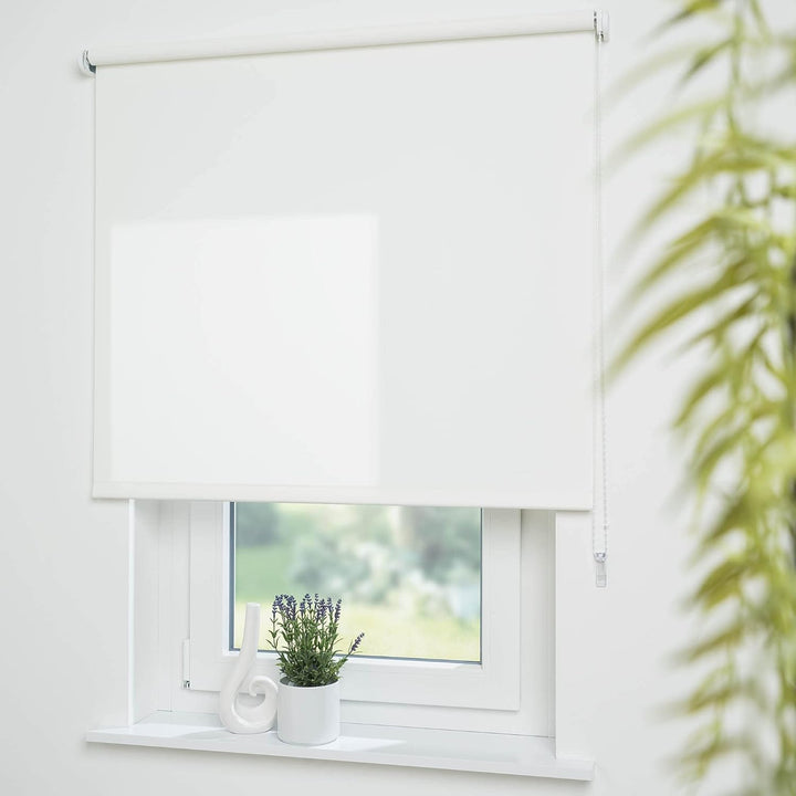 Liedeco® Rollo, Fenster Rollo, Kettenzug-Rollo / 162 x 180 cm (Breite x Höhe), weiss / lichtdurchläs