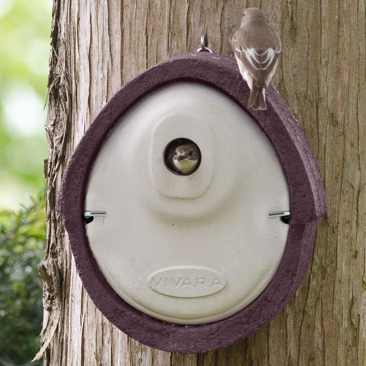 CJ Wildlife Nistkasten – wetterfest mit Marderschutz – Vogelnistkasten für Meisen, Sperlinge und Kle