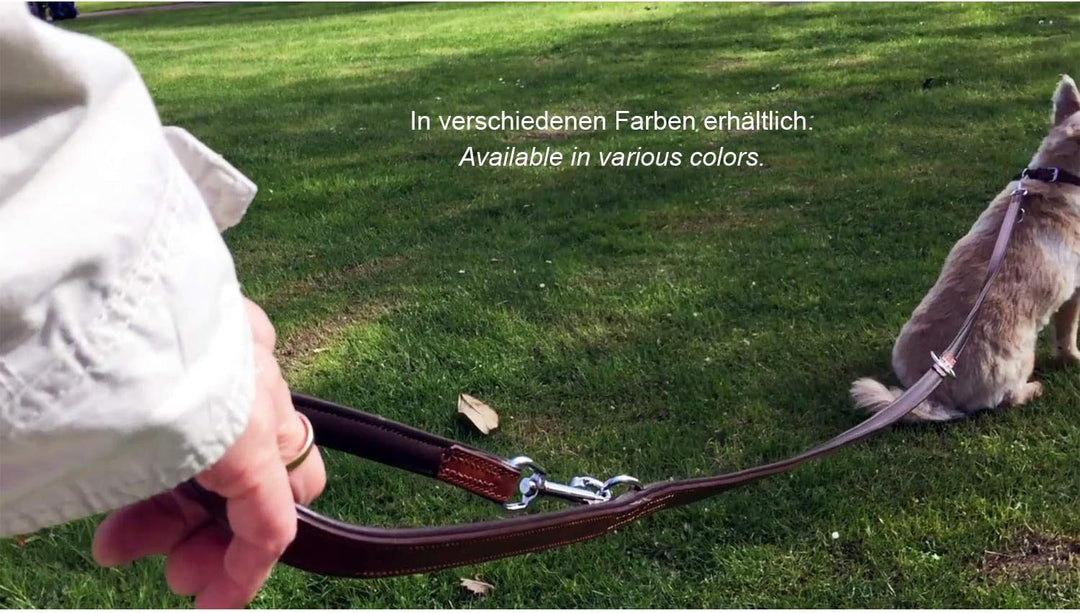Hundeleine aus Leder - Trainingsleine - Lederleine für den Hund - Leine 3-Fach verstellbar, für alle