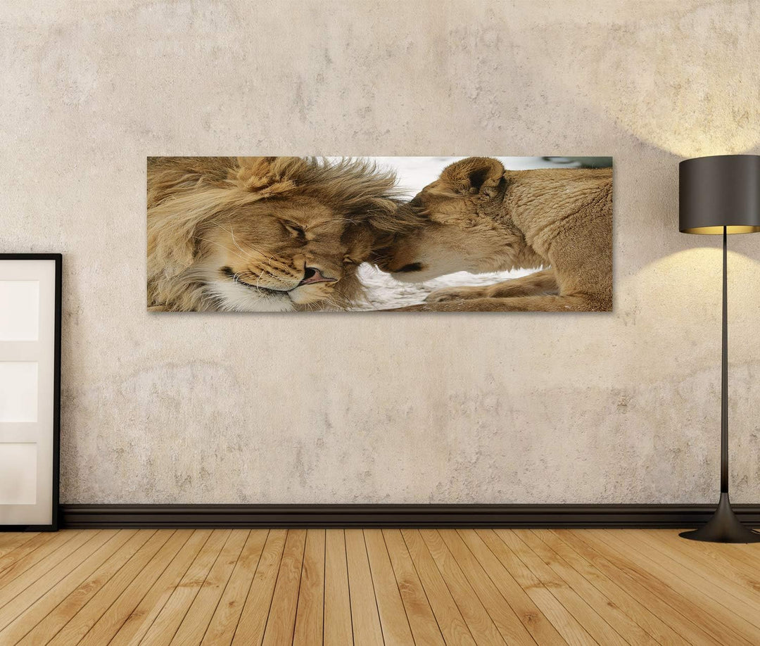 islandburner Bild auf Leinwand Löwe Und Löwenhaftigkeit Bilder Wandbilder Poster Leinwand 120x40cm -