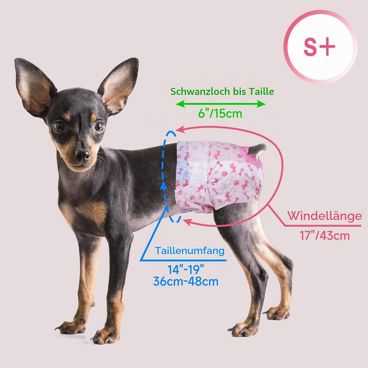 Pet Soft Hundewindeln für Hündinnen, 50 Stück Einweg Windeln für Hunde&amp;Katzen, Hochsaugfähige Katzen