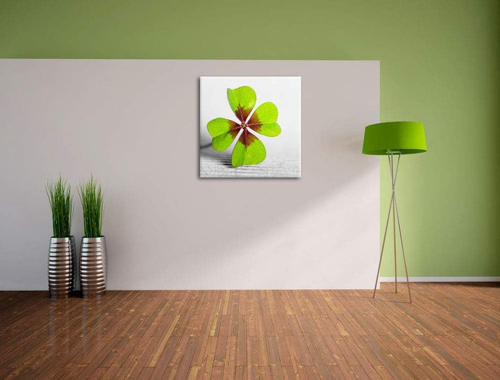 Pixxprint Kleeblatt Glücksklee als Leinwandbild Quadratisch/Grösse: 70x70 / Wandbild/Kunstdruck/fert