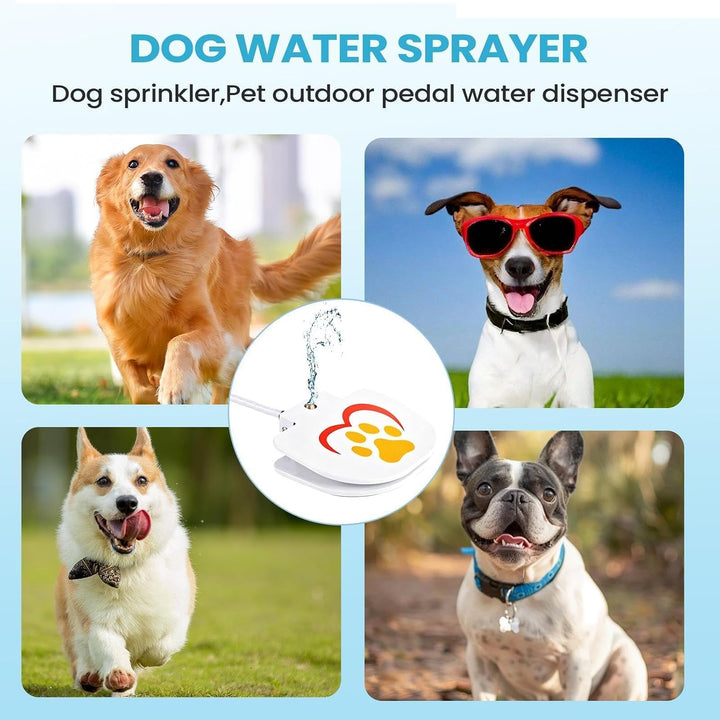 Hunde-Wassersprinkler - rutschfeste -Tretfontäne - Hunde-Wasserspielzeug - Für Garten, Hof, Aussenbe