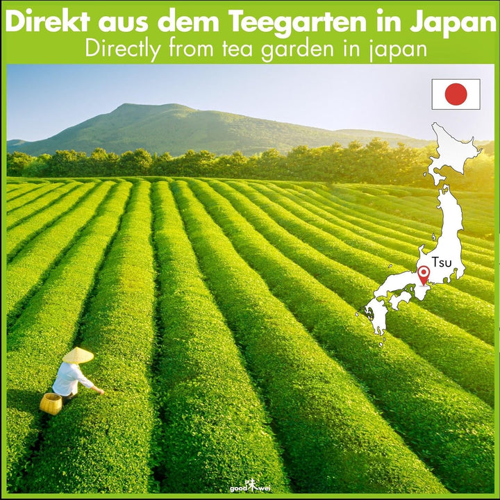 Goodwei BIO Matcha aus Japan im Matcha-Set komplett mit hochwertiger Matcha Schale aus Keramik, Matc