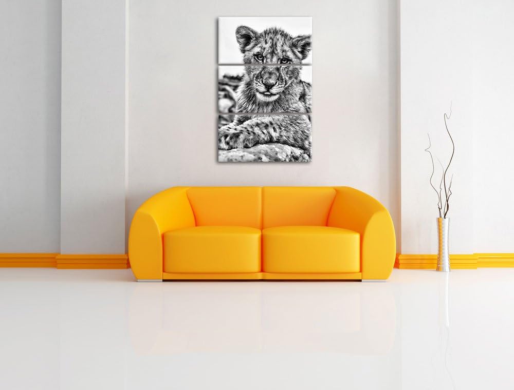 Pixxprint Löwenjunges auf Stein als Leinwandbild/Grösse: 3 Teilig (120x80) cm/Wandbild/Kunstdruck/fe
