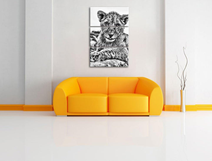 Pixxprint Löwenjunges auf Stein als Leinwandbild/Grösse: 3 Teilig (120x80) cm/Wandbild/Kunstdruck/fe