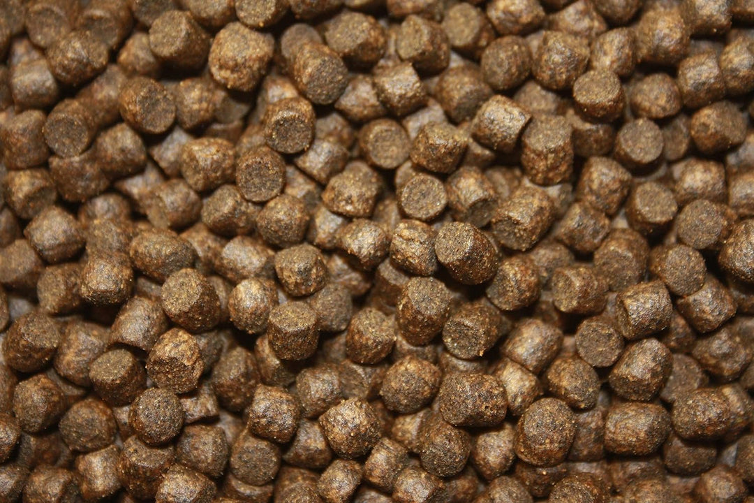Tomodachi Herbstfutter für Koi Koifutter für den Herbst, langsam sinkend und energiereich, 10kg