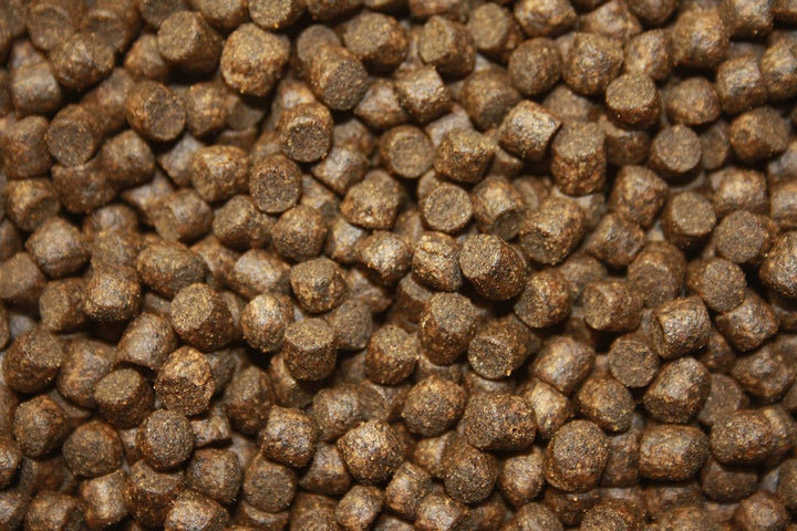 Tomodachi Herbstfutter für Koi Koifutter für den Herbst, langsam sinkend und energiereich, 10kg