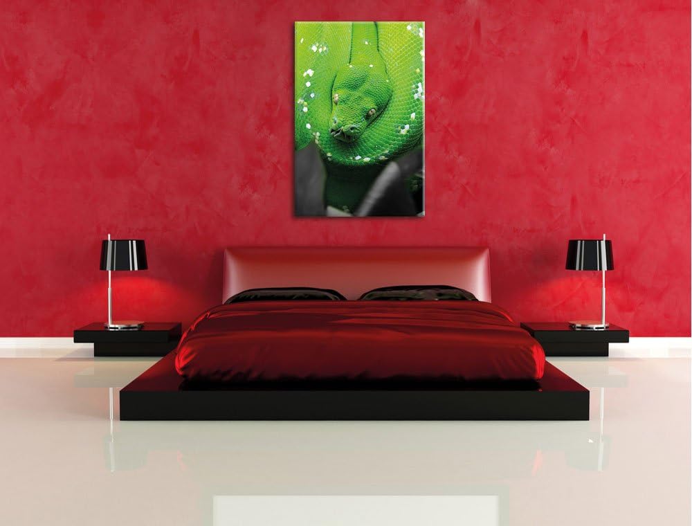 Pixxprint Giftige Grüne Schlange als Leinwandbild/Grösse: 120x80 cm/Wandbild/Kunstdruck/fertig bespa