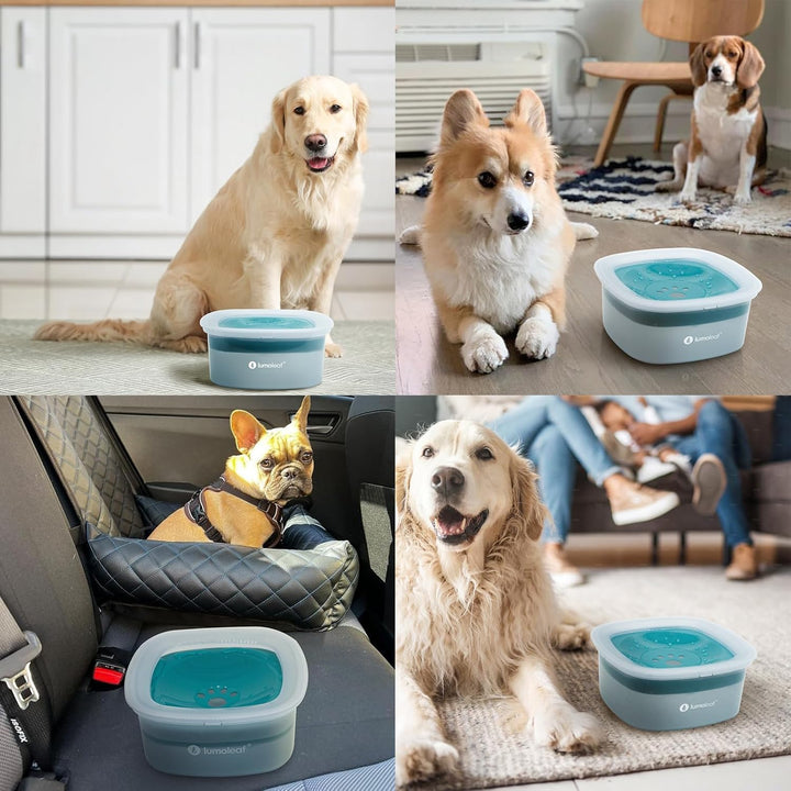 LumoLeaf Wassernapf für Hunde, kein Verschütten, langsamer Futterspender, hält Maul trocken, tropffr
