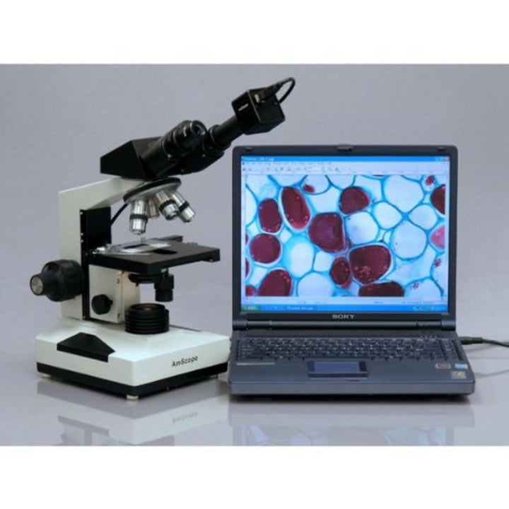 AmScope B490B 40X-2000X Binokulares Verbundmikroskop