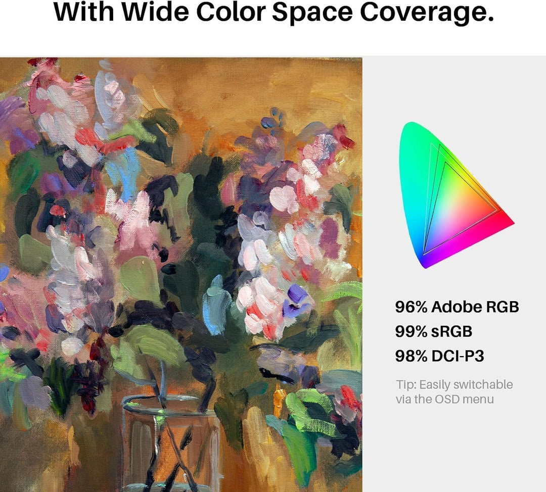 Huion Kamvas Pro 19 (4K)