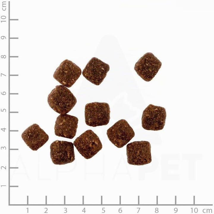 Soft Adult | Halbfeuchtes Hundefutter mit 70% frischem Fleisch für ausgewachsene Hunde. Getreidefrei