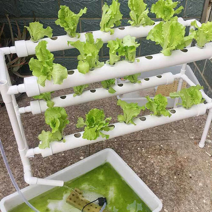 2 Lagen 36 Pflanzen PVC Wasserkultur Pflanzen Hydroponic Grow Kit Hydroponic System, Pflanzliche Wer