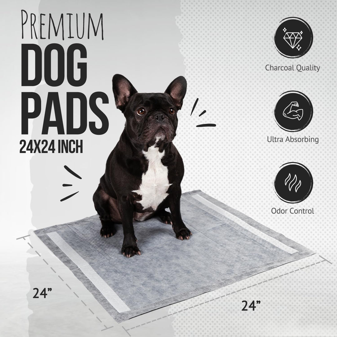 Bulldoglogy Welpen-Pads mit Klebeband, Carbonschwarz, gross, anthrazit, für das Training von Hunden,