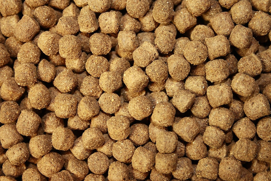 Schwimmfutter für Koi Ganzjahres Koifutter Wachstumsfutter Koi schwimmendes leicht verdauliches Koi-