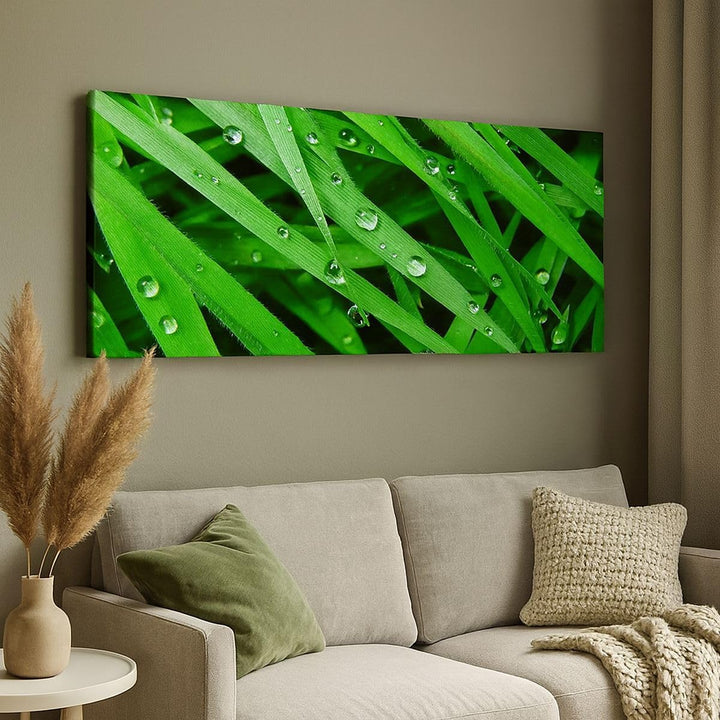 Wandbilder Dekoration Wohnzimmer Natur Gras Wasser Tropfen Panorama Bilder auf Leinwand 120x50cm Lei