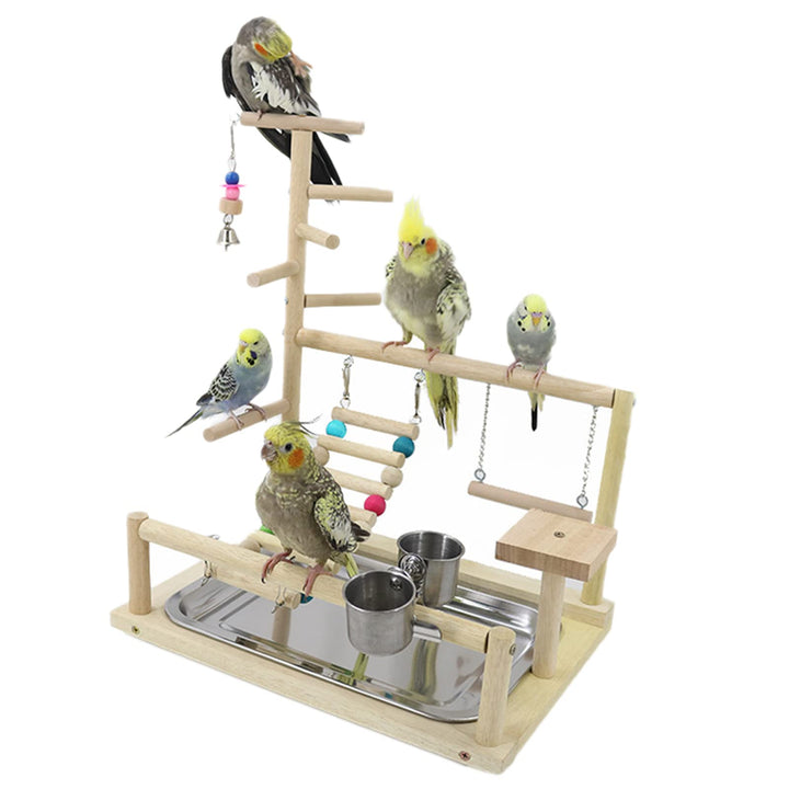 Wellensittich Spielplatz Vogel-Spielplatz mit Feeder-Cup Spielzeug Leiter Erklimmen Schaukel und Tab