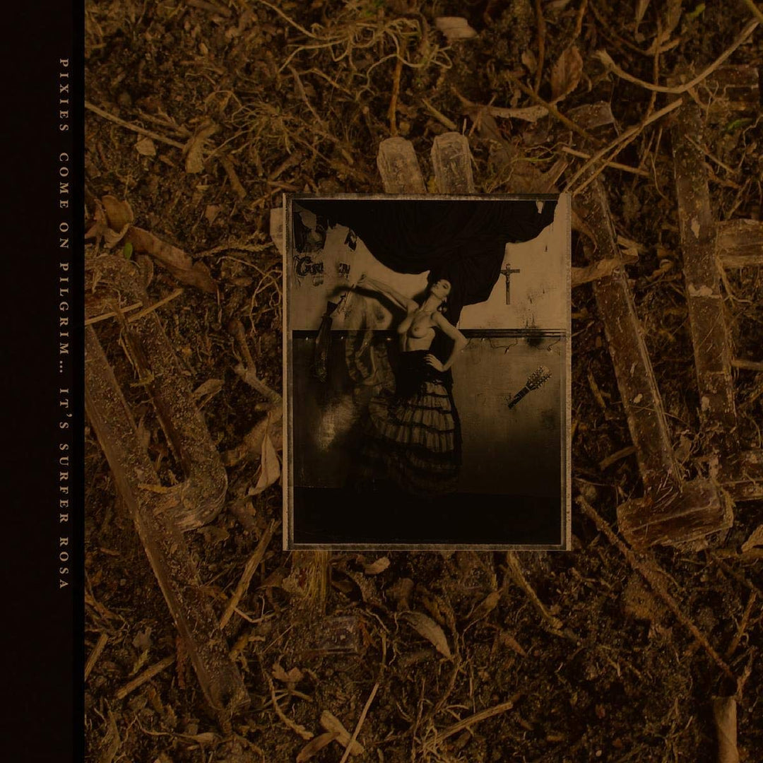 Come on Pilgrim-It's Surfer Rosa, Vinyl