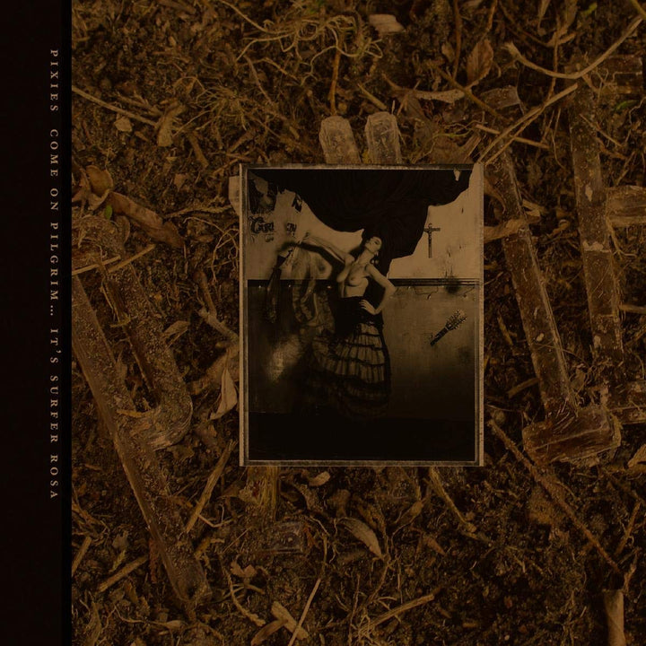 Come on Pilgrim-It's Surfer Rosa, Vinyl