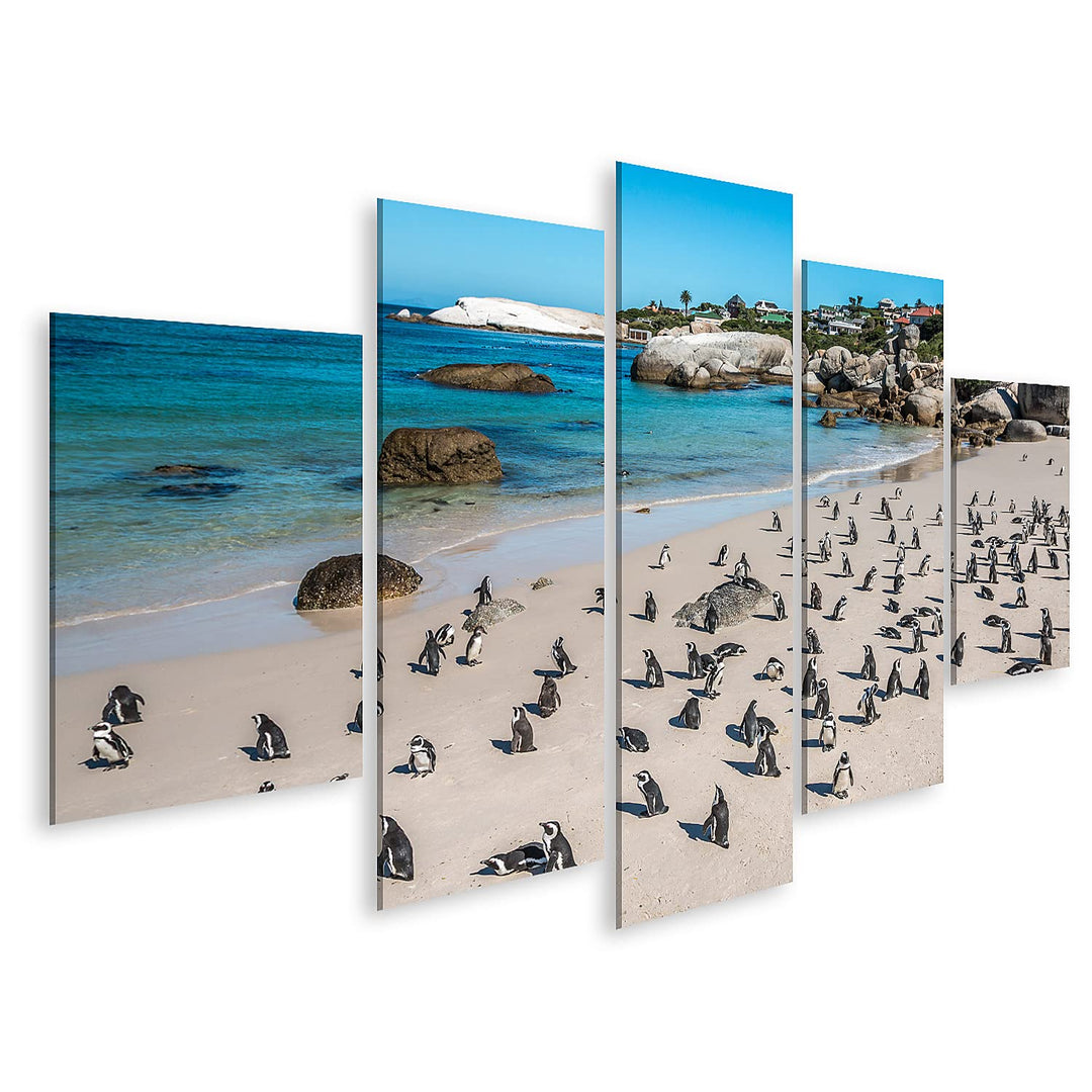 islandburner Bild auf Leinwand Pinguine Kapstadt Südafrika Afrikanischer Strand Bilder Wandbilder Po
