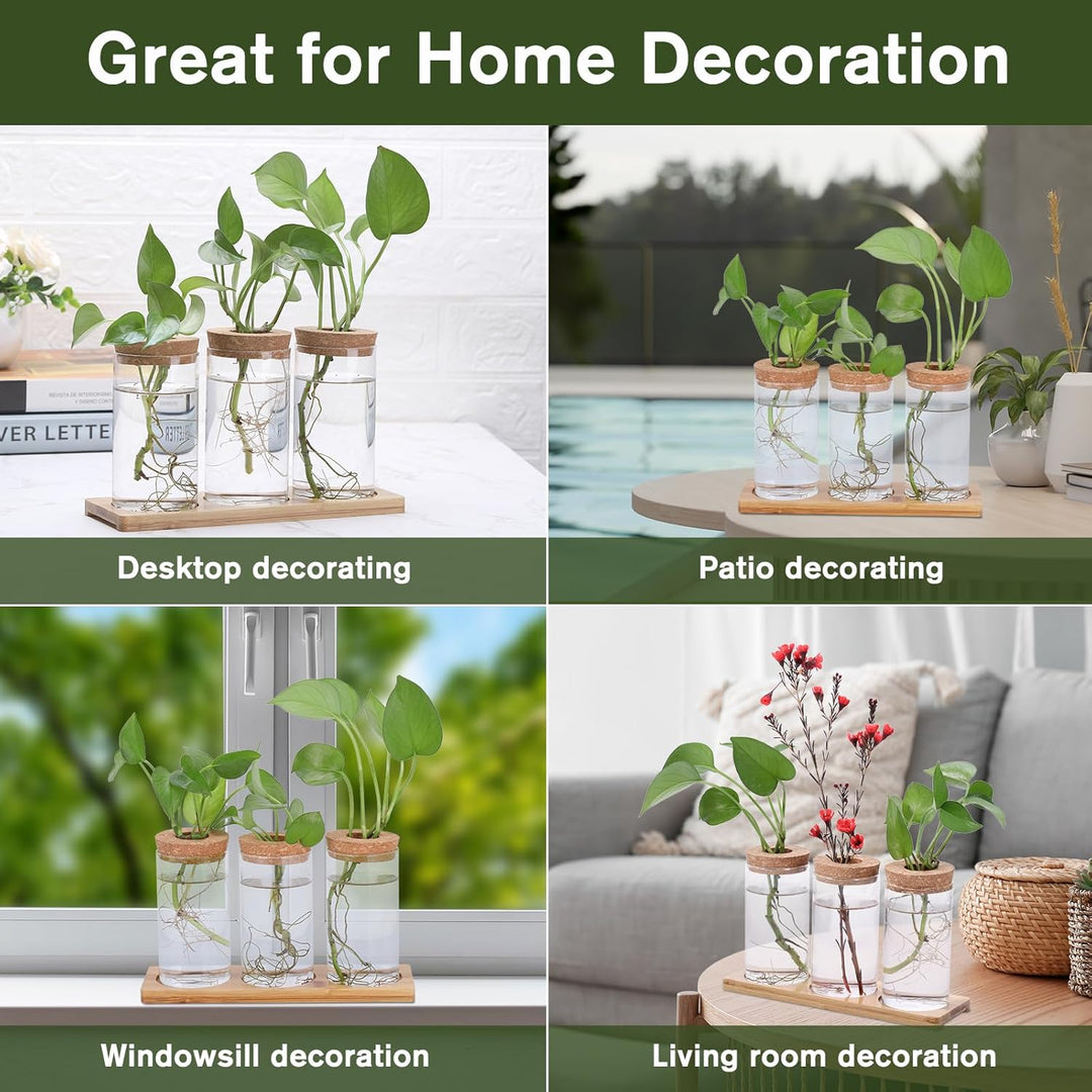 Fentar Ableger Pflanzen Glas, Propagation Station mit Holzsockel und Stecker, 3Stk Kleine Vasen für