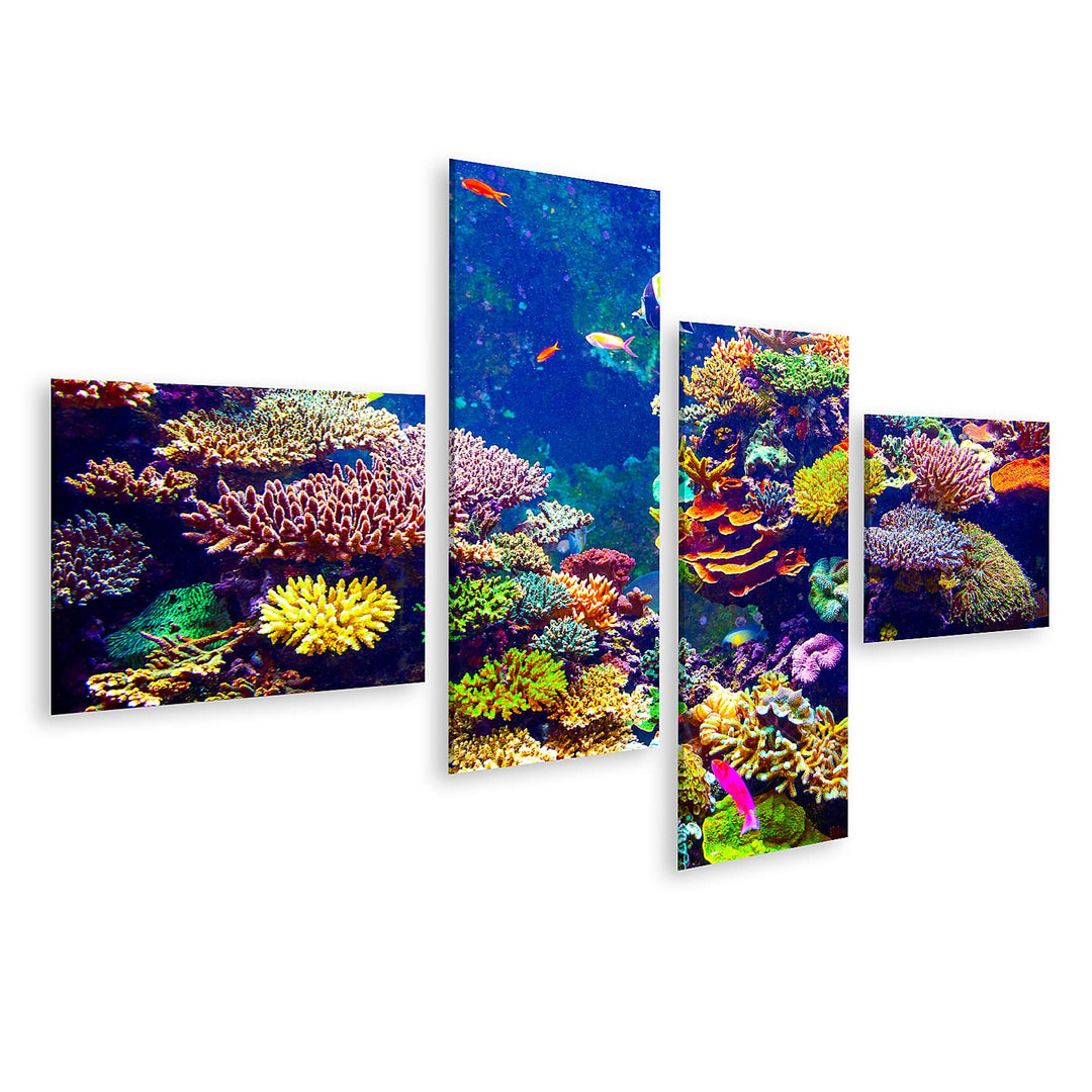 islandburner Bild auf Leinwand Singapur Aquarium Korallenriff Tropische Fische Sonnenlicht Bilder Wa