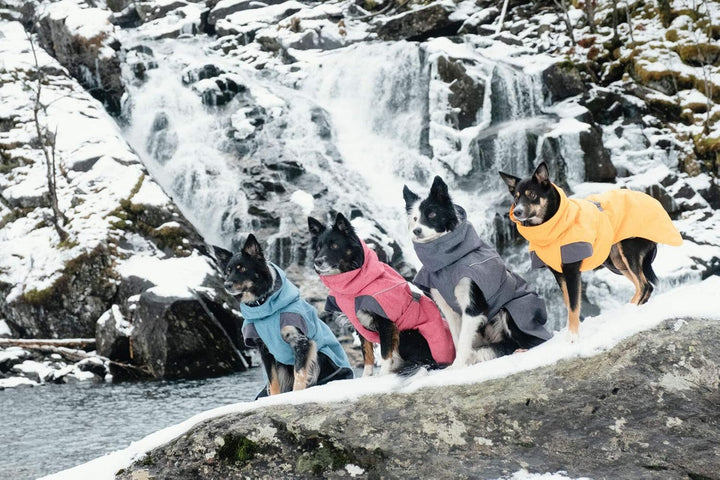 Hurtta Expedition Parka, Winter Dog Coat, Beetroot, 16 in Rote Beete 16 pulgadas, Rote Beete 16 pulg