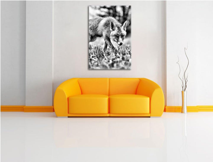 Monocrome, Schöner Fuchs , Format: 100x70 auf Leinwand, XXL riesige Bilder fertig gerahmt mit Keilra