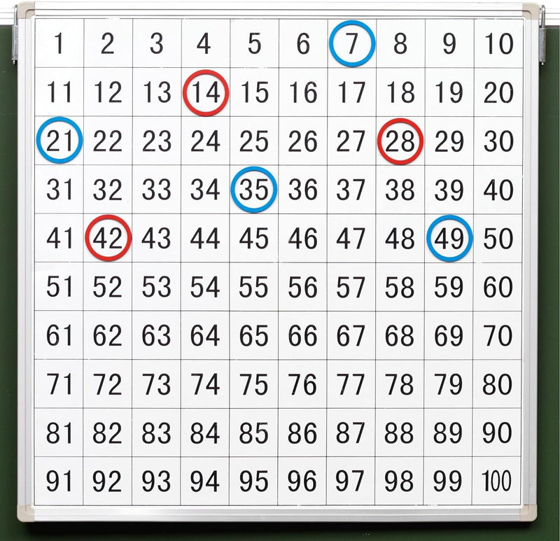 Betzold - Magnethaftende Tafel mit aufgedrucktem Hunderterfeld - Rechnen lernen NoColor, NoColor