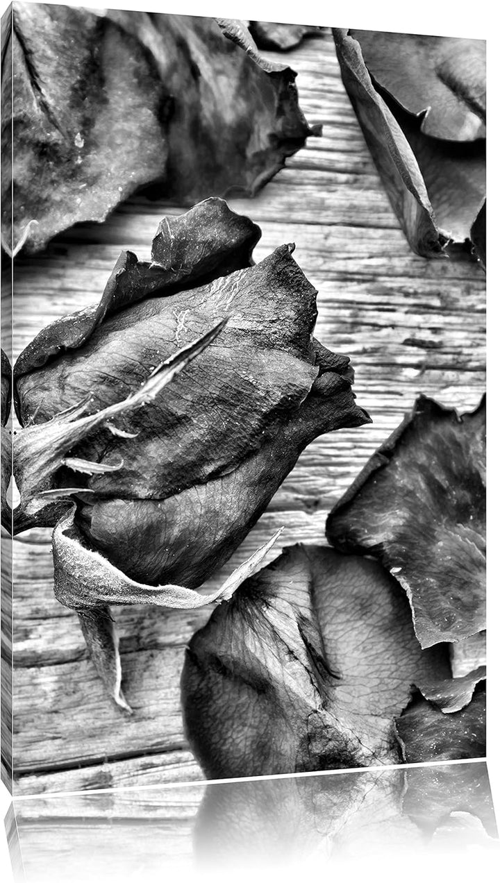 Pixxprint Monocrome, Trockene Rosen auf altem Holztisch, Format: 100x70 auf Leinwand, XXL riesige Bi