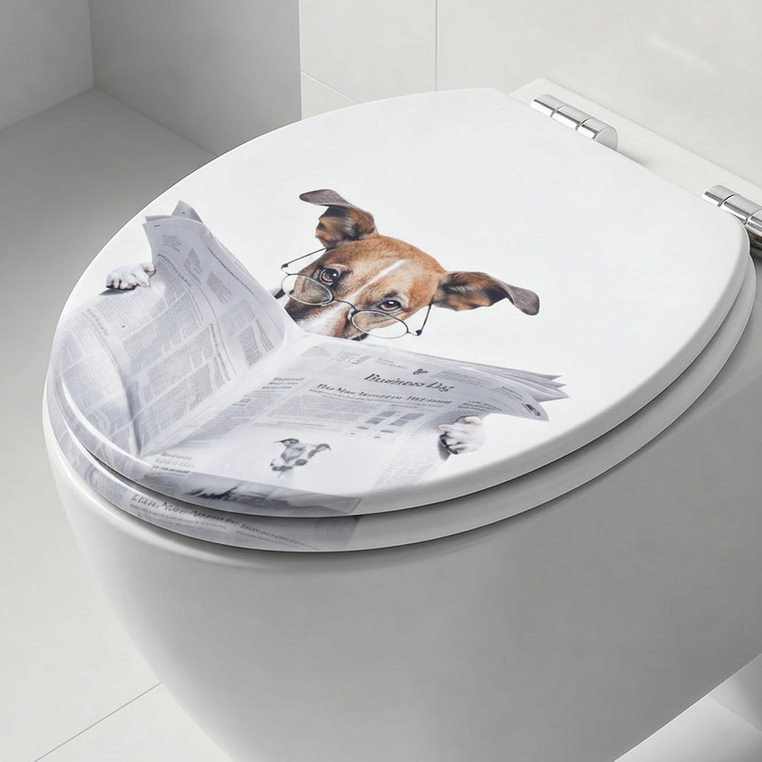 SINOBATH Premium WC Sitz mit Absenkautomatik – hochwertige Toilettendeckel aus Holz, viele bunte Mot