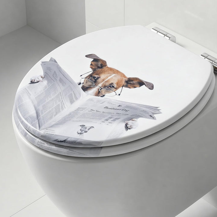 SINOBATH Premium WC Sitz mit Absenkautomatik – hochwertige Toilettendeckel aus Holz, viele bunte Mot