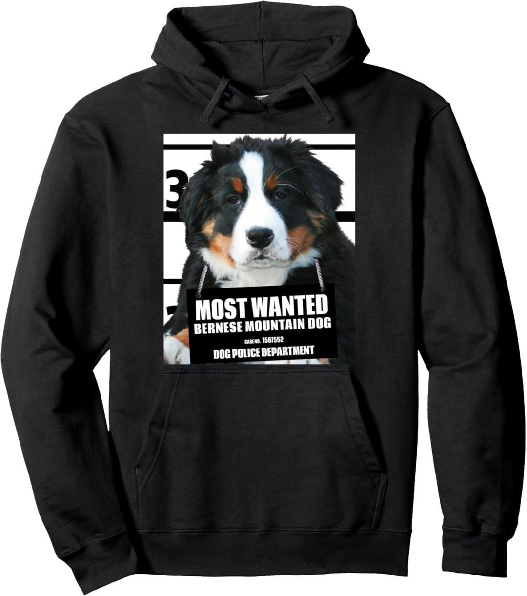 Most Wanted Berner Sennenhund Hoodies – Hund Hoodies B Pullover Hoodie