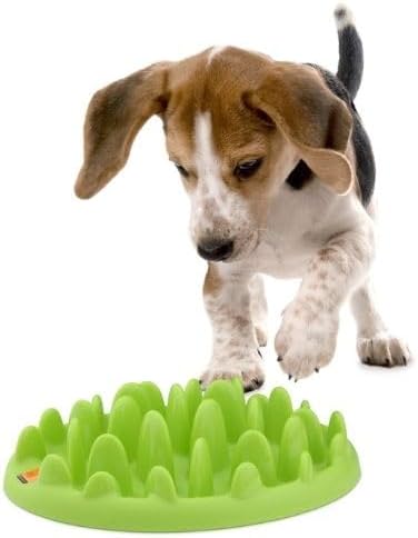 Green Interaktiver Slow Feeder für Hunde |Grösse Klein, Klein