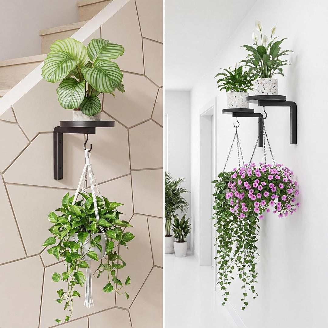 2 Stück Pflanzenhalter Wand Blumenhalter Metall mit Haken Pflanzen Wandhalterung Blumentopf Wandbeha