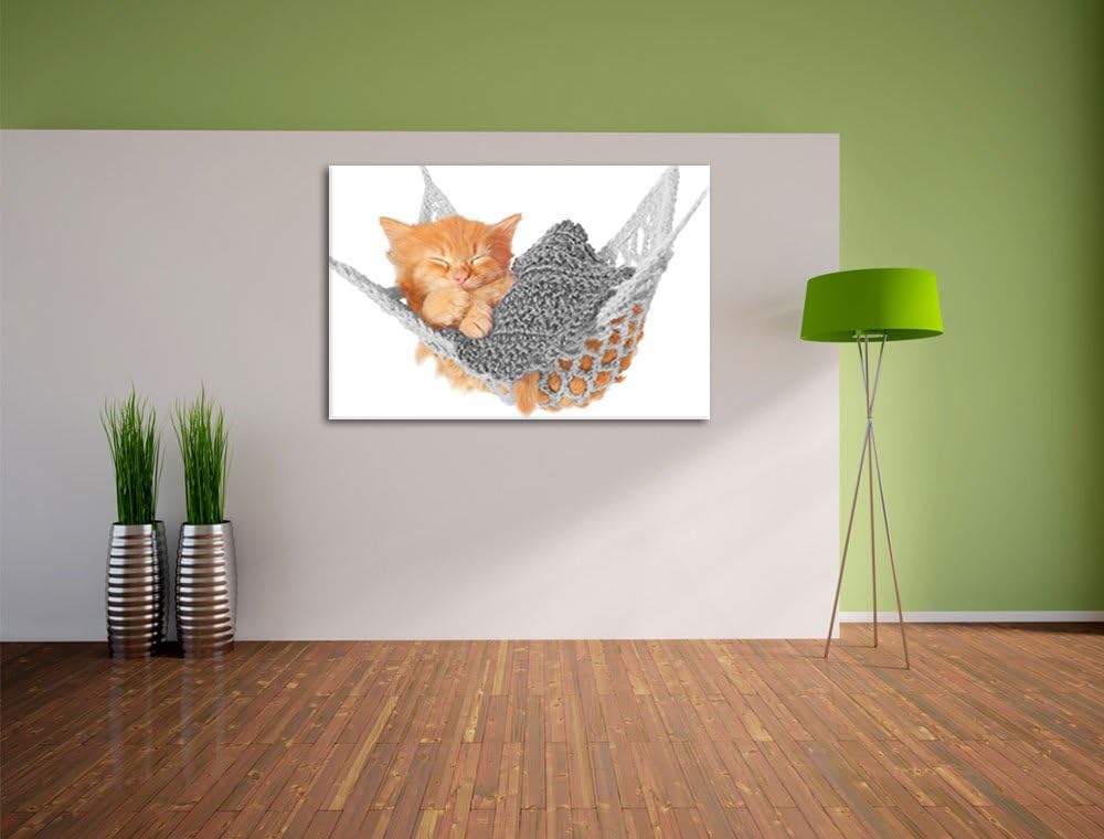 Pixxprint Katzenbaby in Hängematte als Leinwandbild/Grösse: 100x70 / Wandbild/Kunstdruck/fertig besp