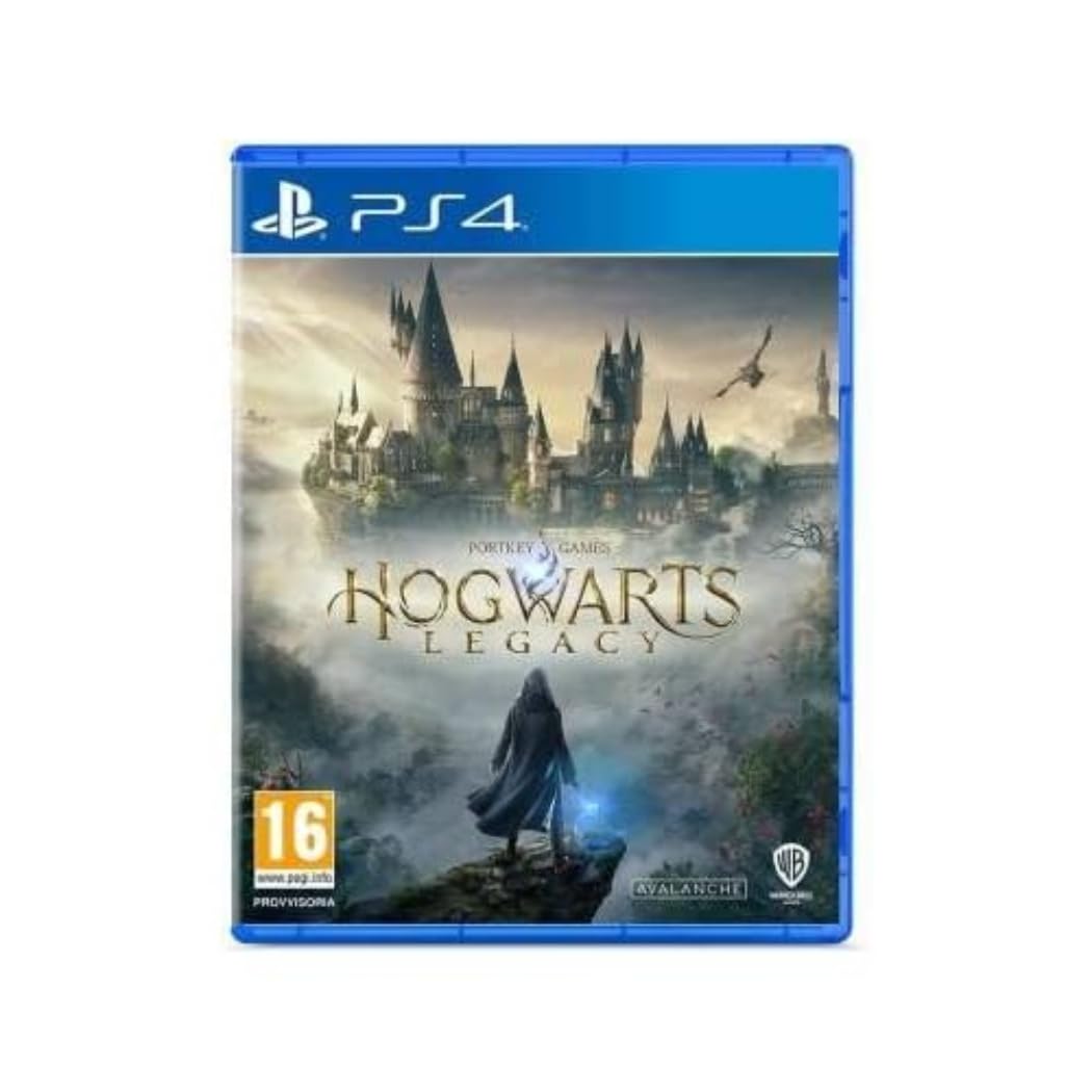 Videogioco Warner Hogwarts Legacy