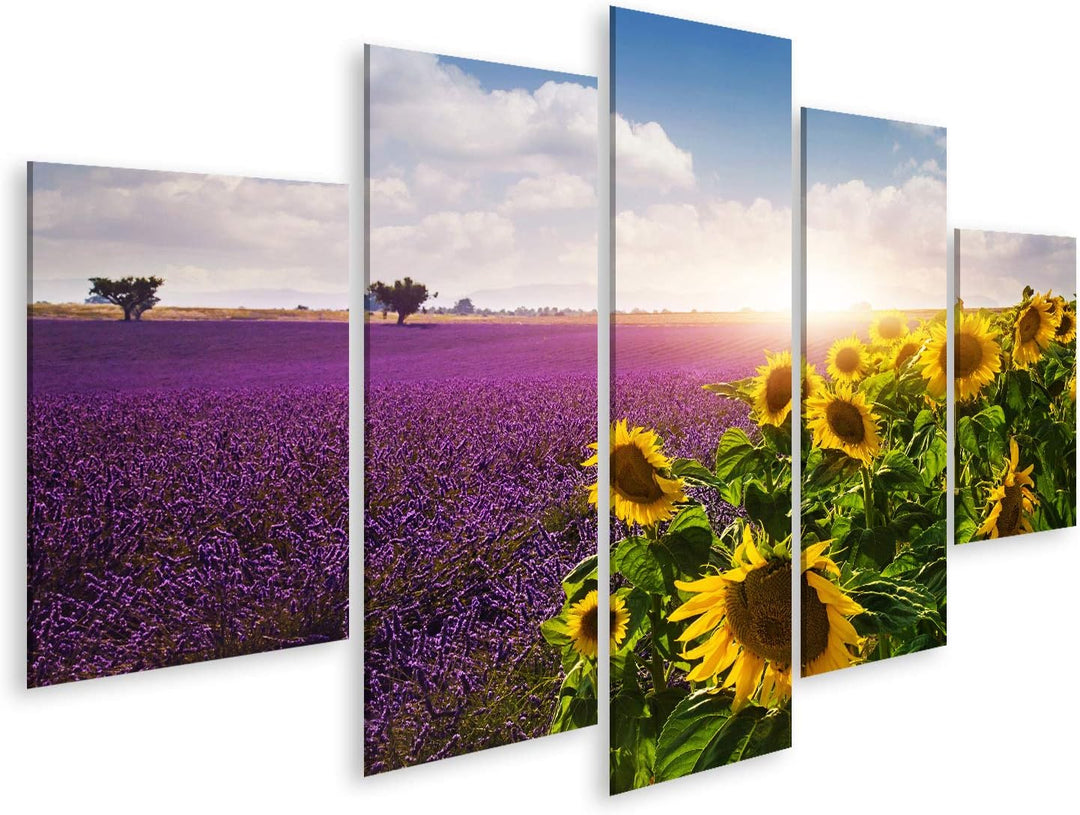 islandburner Bild auf Leinwand Lavendel Sonnenblumen Felder Provence Bilder Wandbilder Poster Leinwa