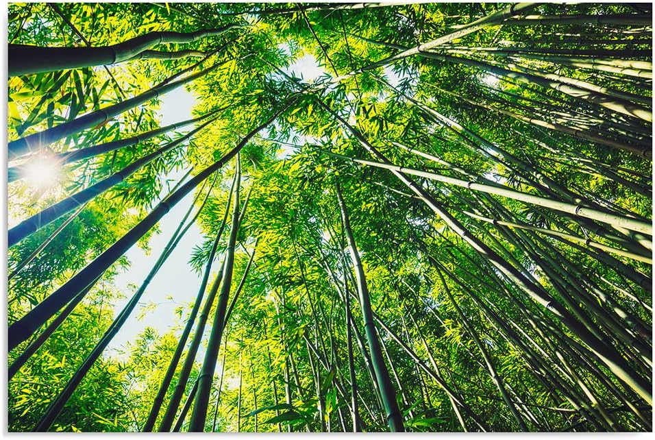 Feeby, Leinwandbild, Bilder, Wand Bild, Wandbilder, Kunstdruck 70x100cm, Wald, GRÜN, Natur, BÄUME, D
