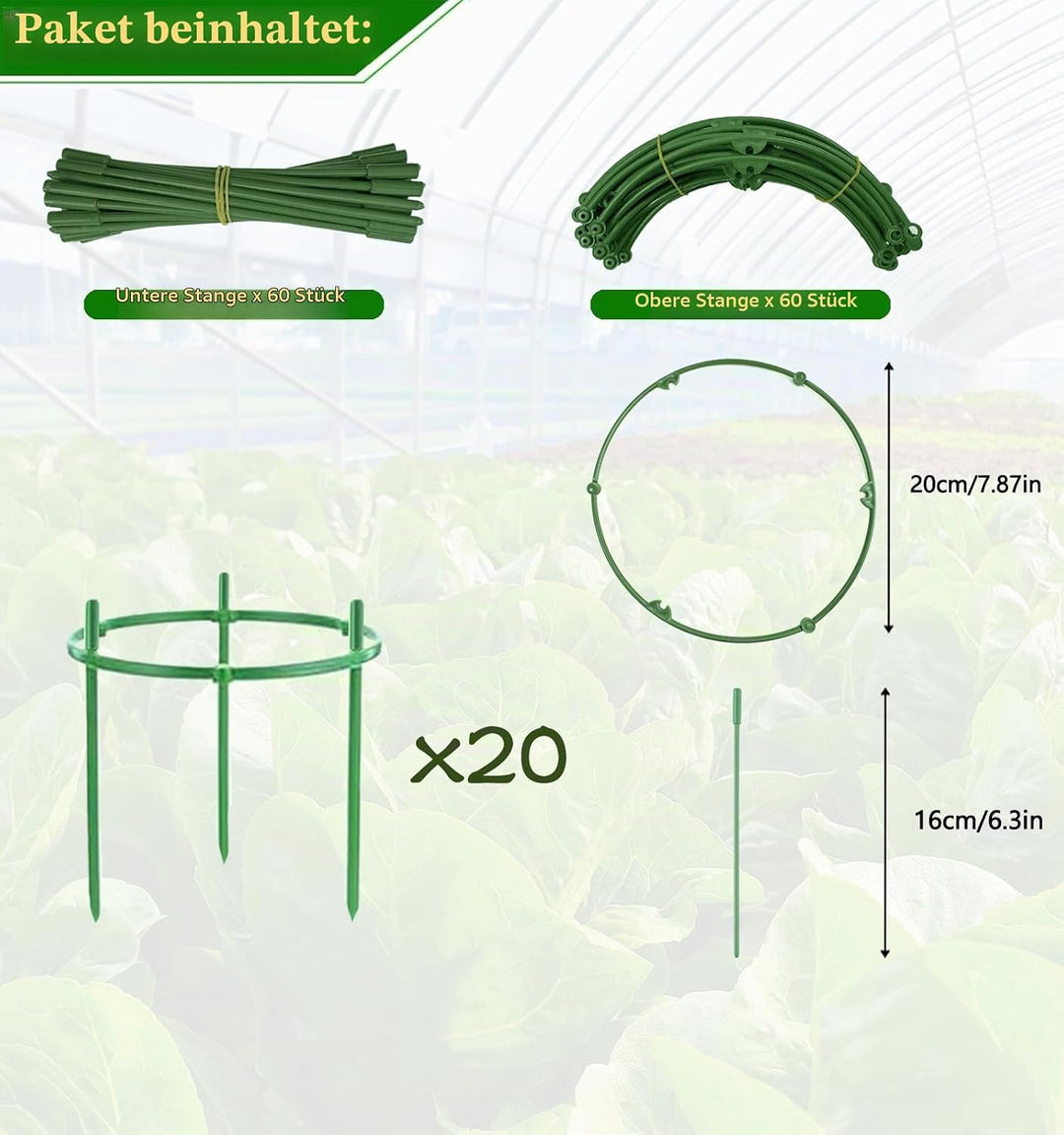 Tomaten Rankhilfe 20er Set, 1 Ringe D x H: 20 x 16 cm Gurken Rankhilfe Mit Verstellbarer Höhe, Pflan