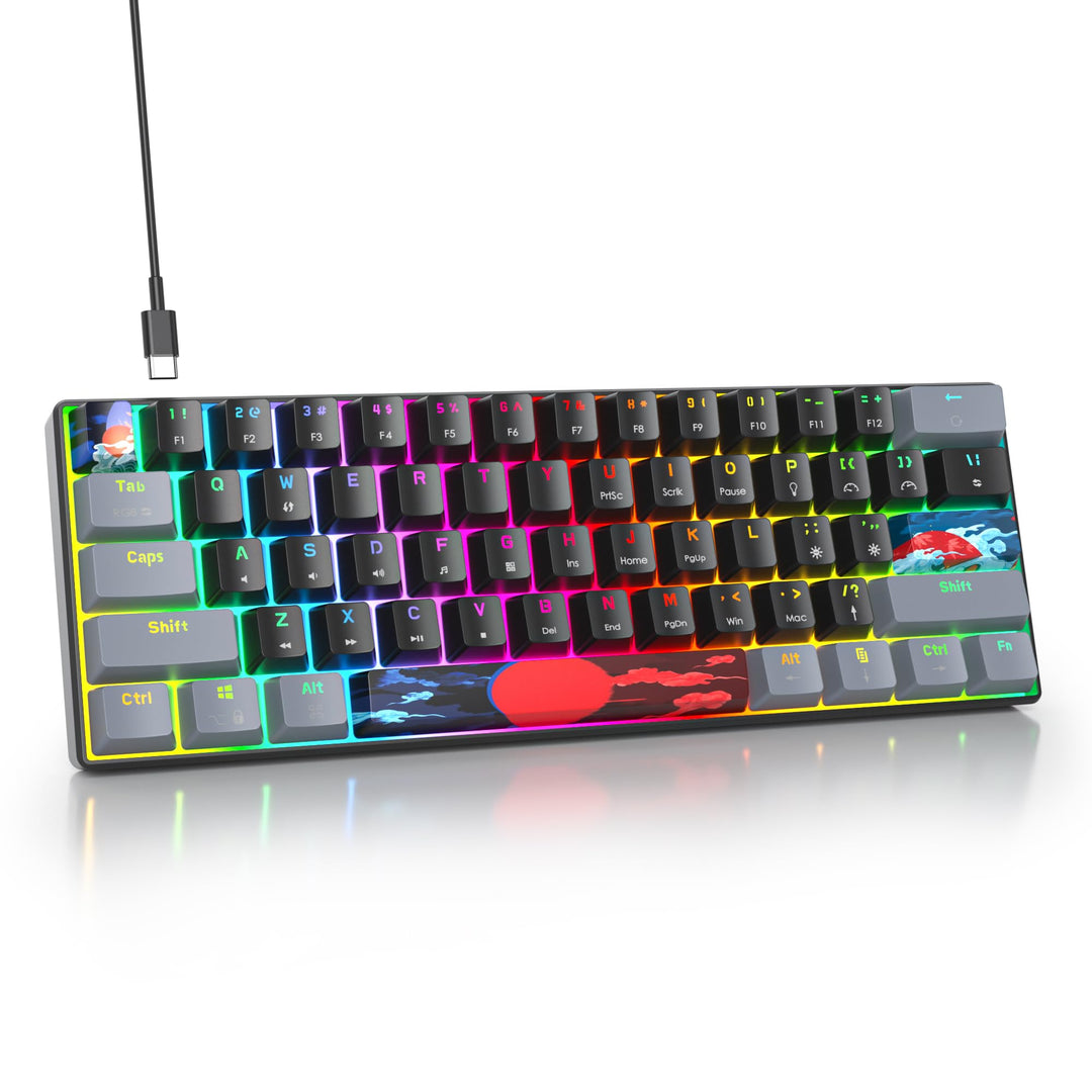 SOLIDEE Tragbare 60% mechanische Gaming-Tastatur,61 Tasten kompakte RGB Hintergrundbeleuchtung,kabel