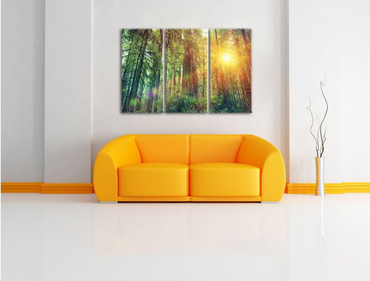Pixxprint Wald bei Sonnenlicht / 3-Teilig/Gesamtmass 120cm Leinwandbild bespannt auf Holzrahmen/Wand