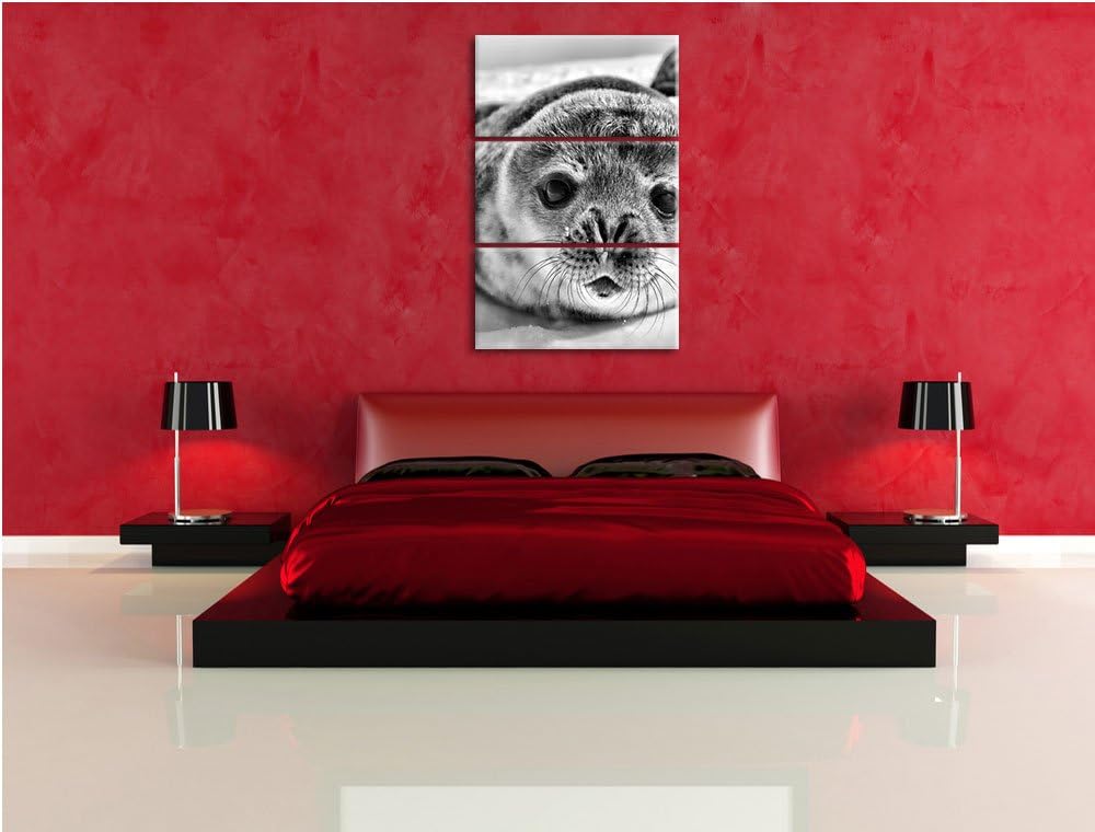 Pixxprint Süsses Robben Baby als Leinwandbild/Grösse: 3 Teilig (120x80) cm/Wandbild/Kunstdruck/ferti
