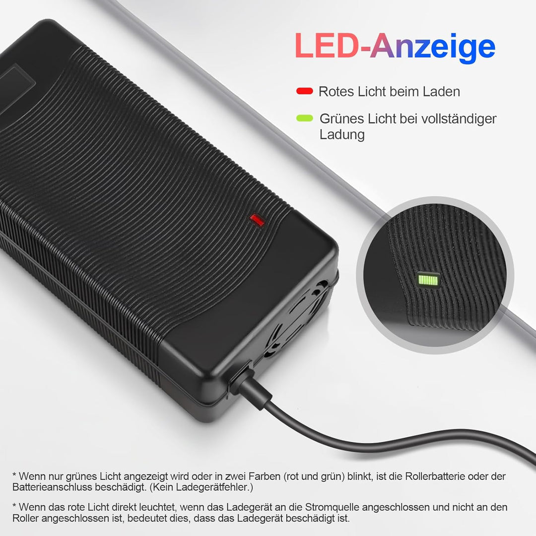 VOLOHAS 54,6V 2A Ladegerät für KUGOO G2 PRO, Kugoo G1, Soflow SO4 Pro, VMAX VX2 PRO/ST Elektroroller