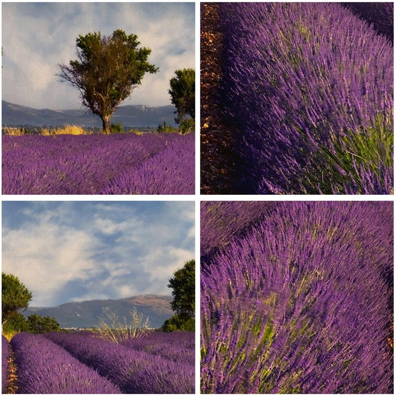 Wandbilder Dekoration Wohnzimmer Landschaft Wiese Pflanzen Panorama Bilder auf Leinwand 120x50cm Lei