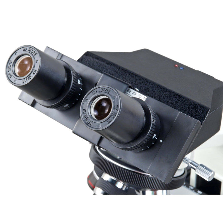 AmScope MD827S30L-PHB3 OMAX Phasenkontrast Eingebautes 3.0MP Digitalkamera Compound LED Binokularmik