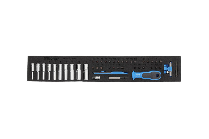 GEDORE Steckschlüssel-Sortiment 1/4 Zoll in Check-Tool-Modul, 1 Stück, 1500 CTD-20 BIT
