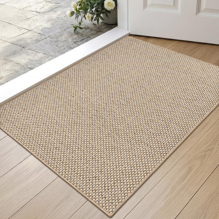 DEXI Schmutzfangmatte Innen 44 x 76 cm, rutschfest Fussmatte waschbar, absorbierend Fussmatte, Dünne