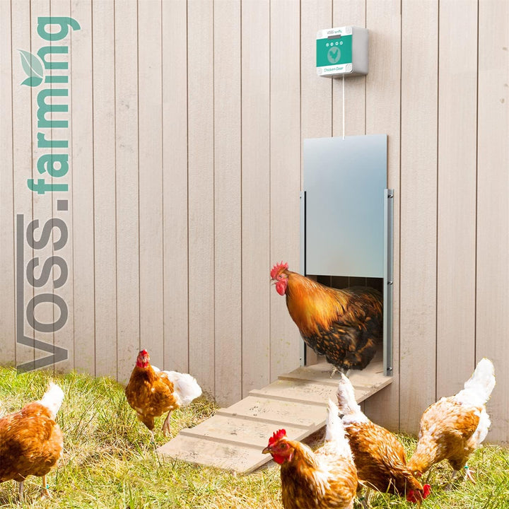 VOSS.farming Set Chicken-Door automatische Hühnertür + Alu Hühnerklappe 300 x 400mm, Türöffnung, Tür